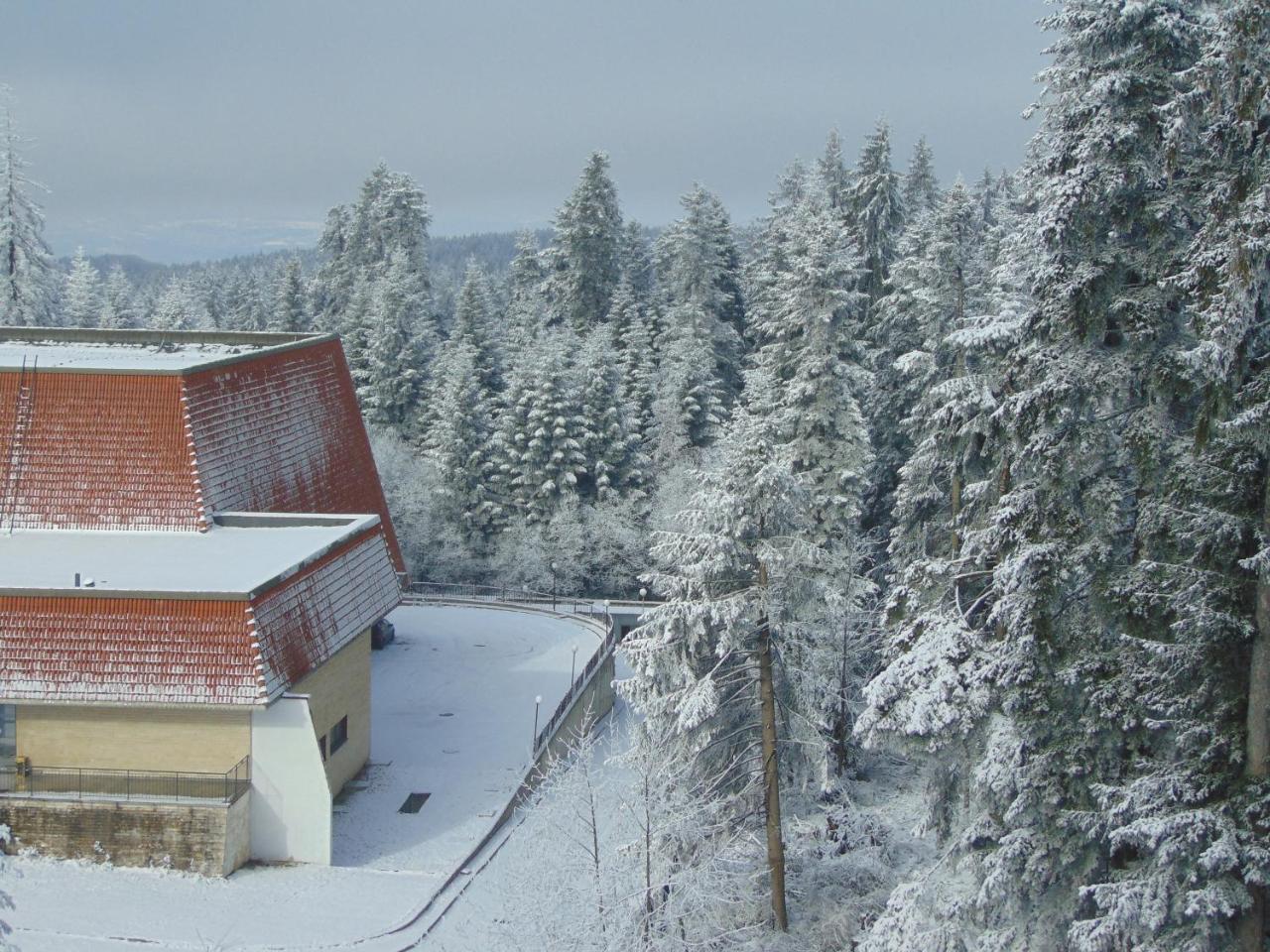 Ski Apartment Boyika Iglika 2 Боровец Экстерьер фото